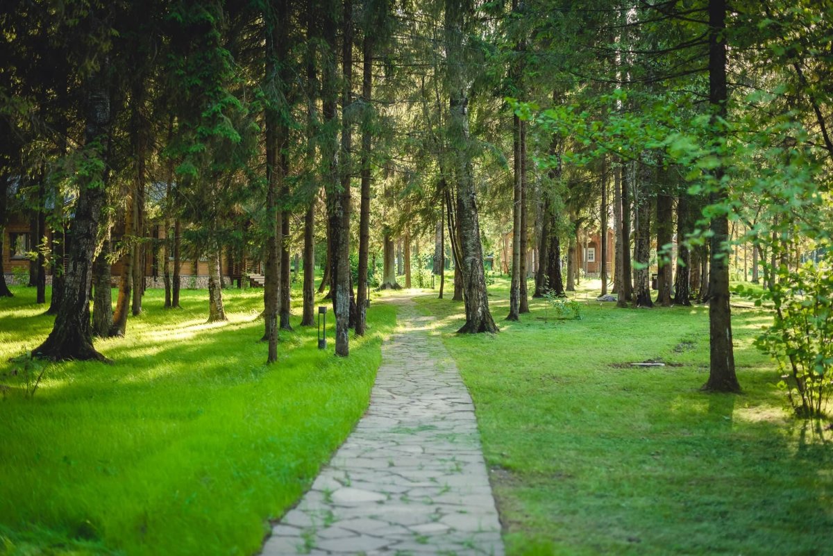 Эко отель изумрудный лес сафари парк