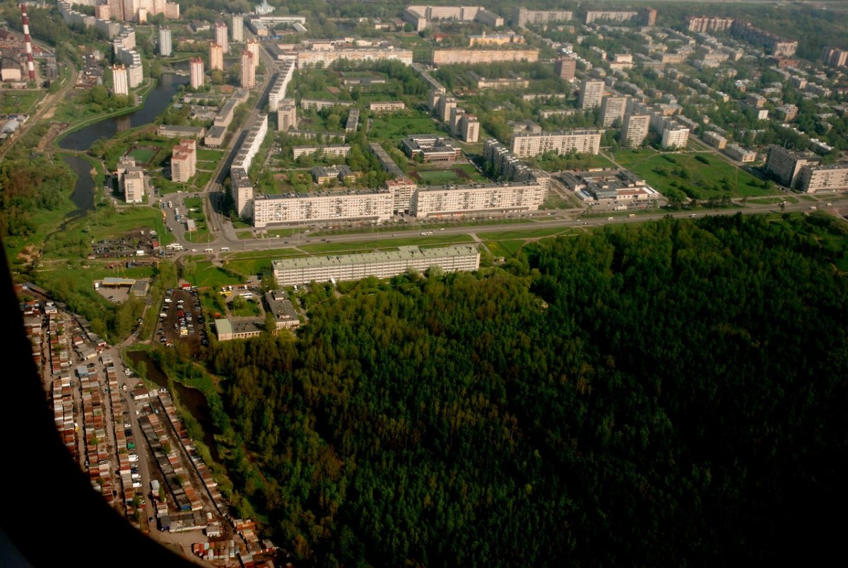 Сосновая Поляна Санкт-Петербург