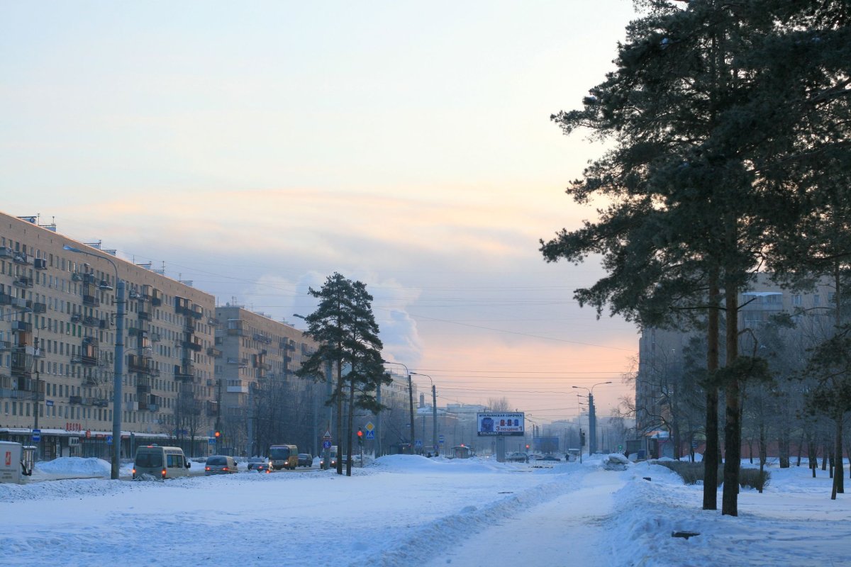 Сосновая Поляна Санкт-Петербург