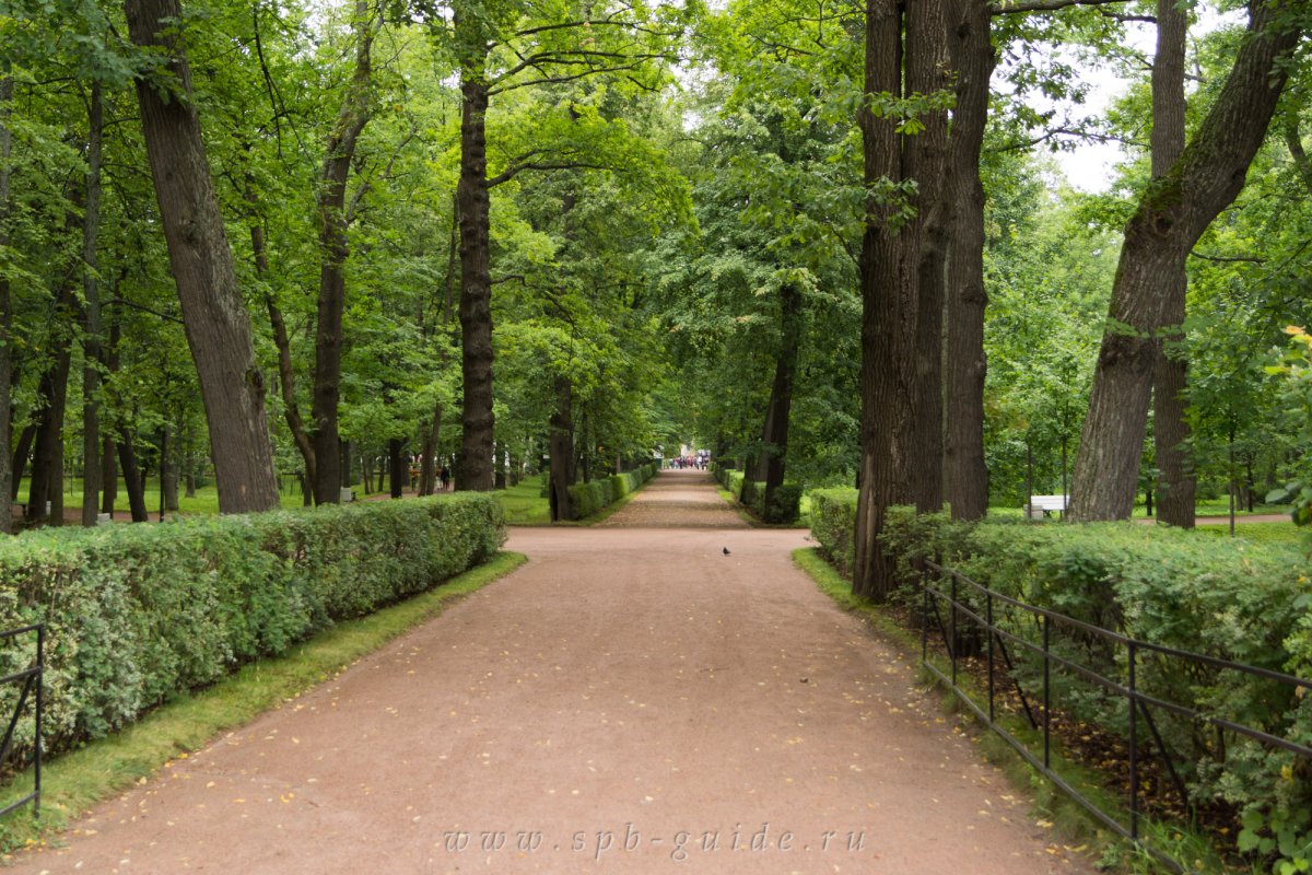 Петергоф аллея