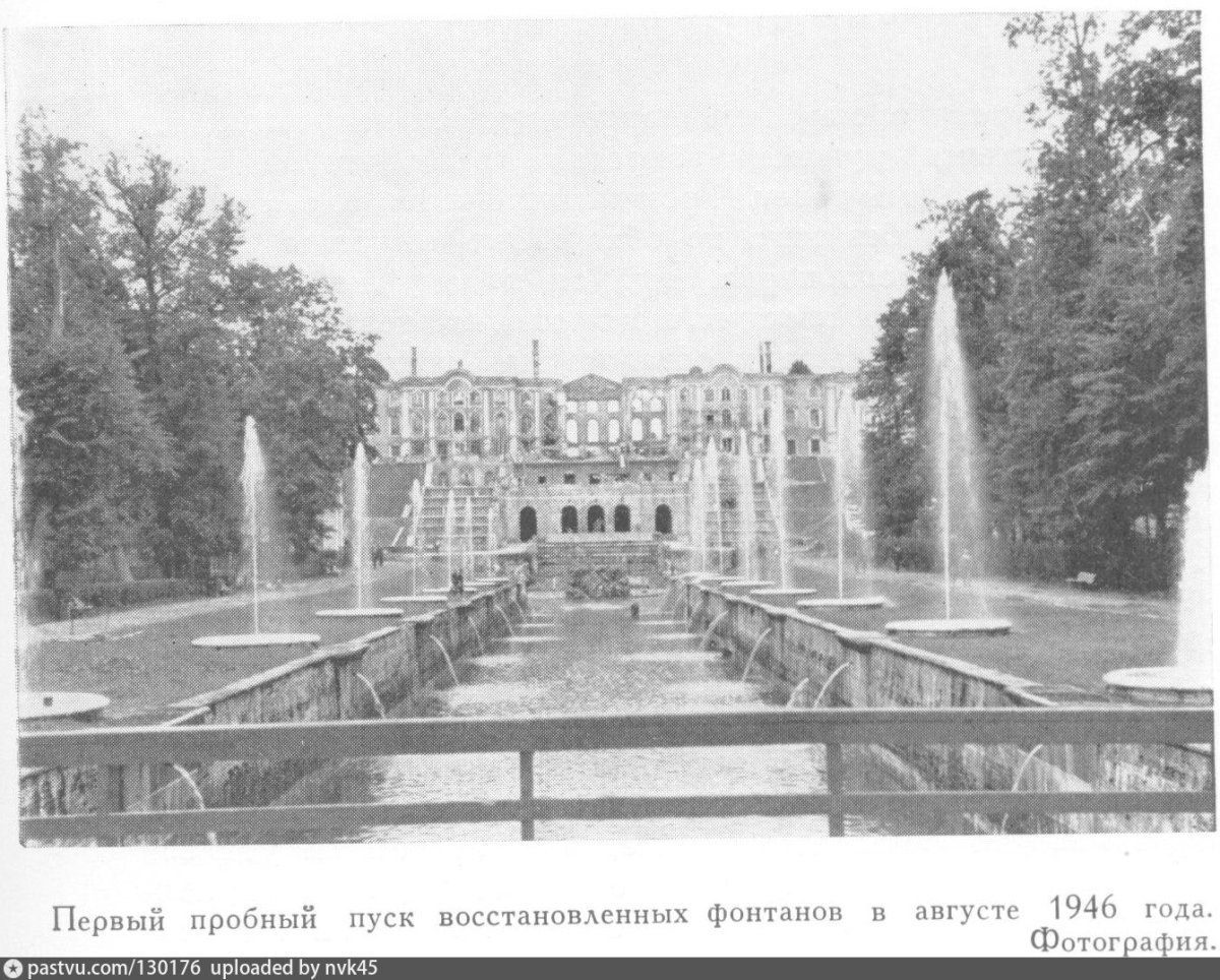 Петергофе 1952