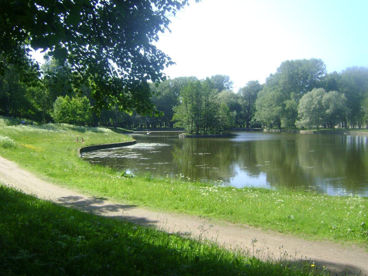 Парк Новознаменка Санкт-Петербург