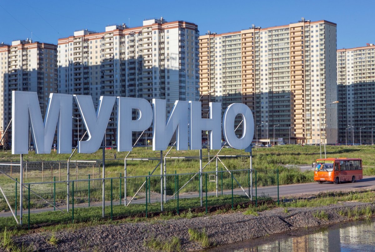 Мурино Ленинградская область