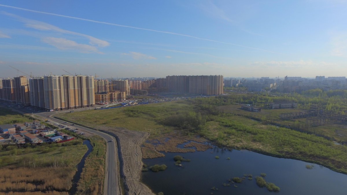 Кудрово Ленинградская область новый Оккервиль
