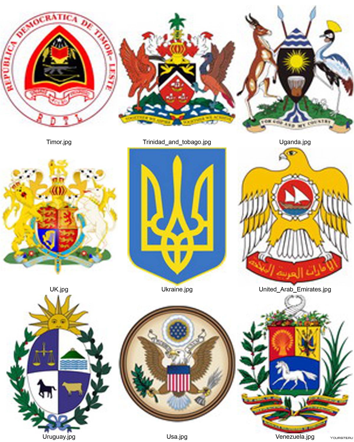 Самые красивые гербы стран