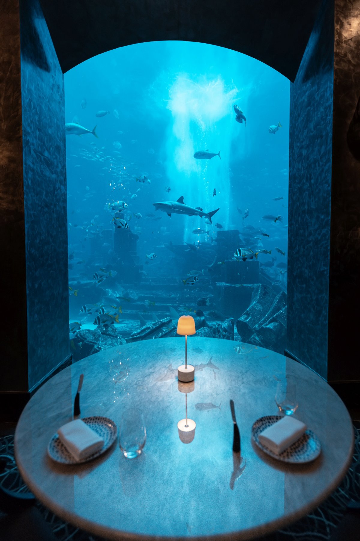 Atlantis the Palm открытие