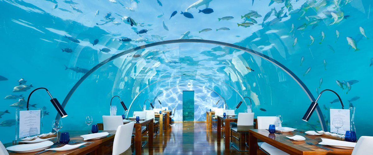 Ithaa Undersea Restaurant (Мальдивы)