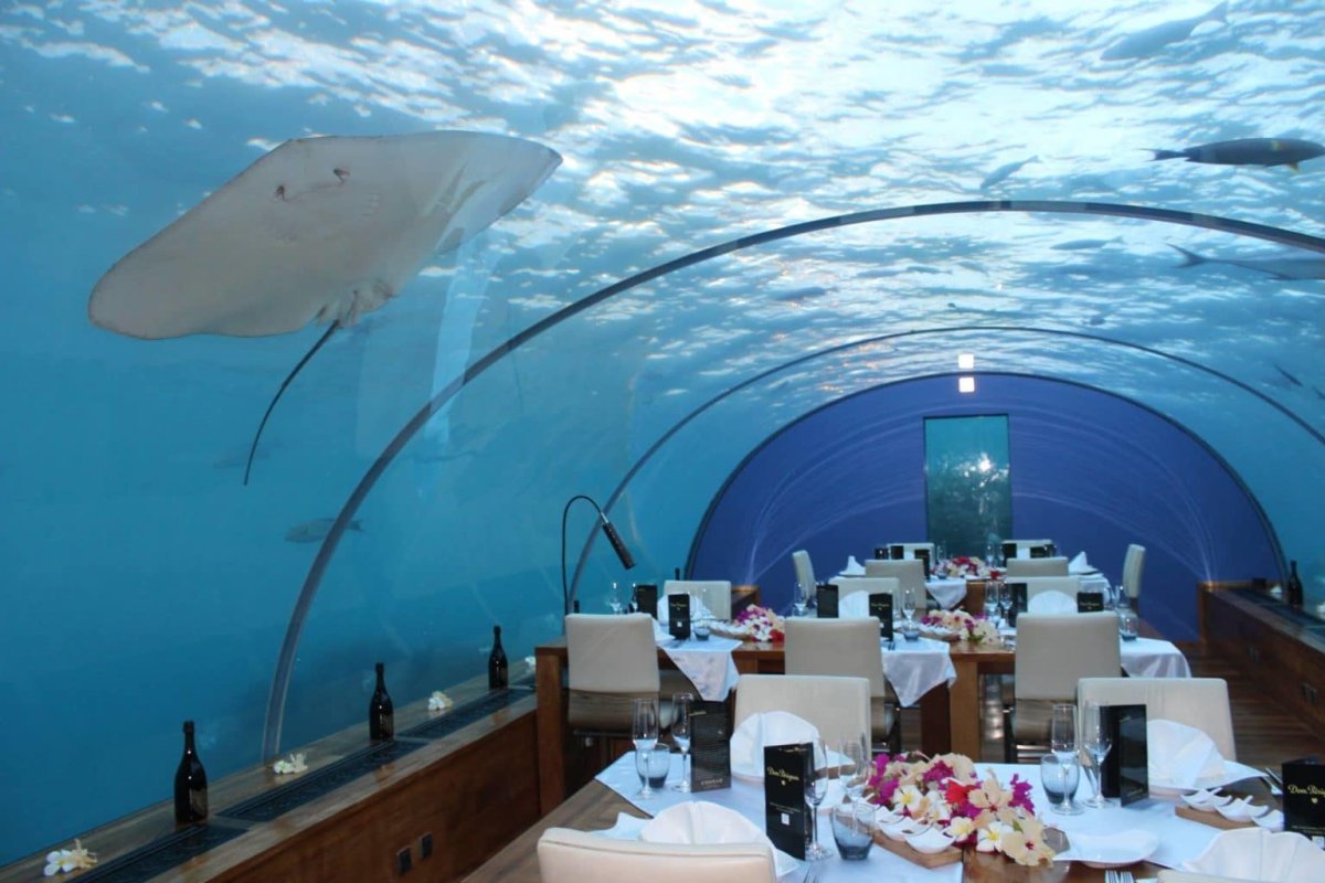 Ithaa Undersea Restaurant (Мальдивы)