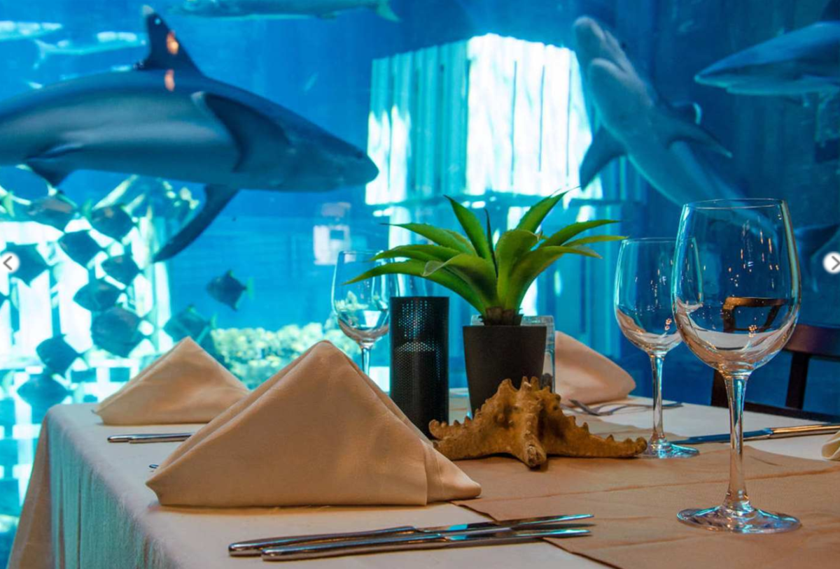 Ithaa Undersea Restaurant, Мальдивы блюда