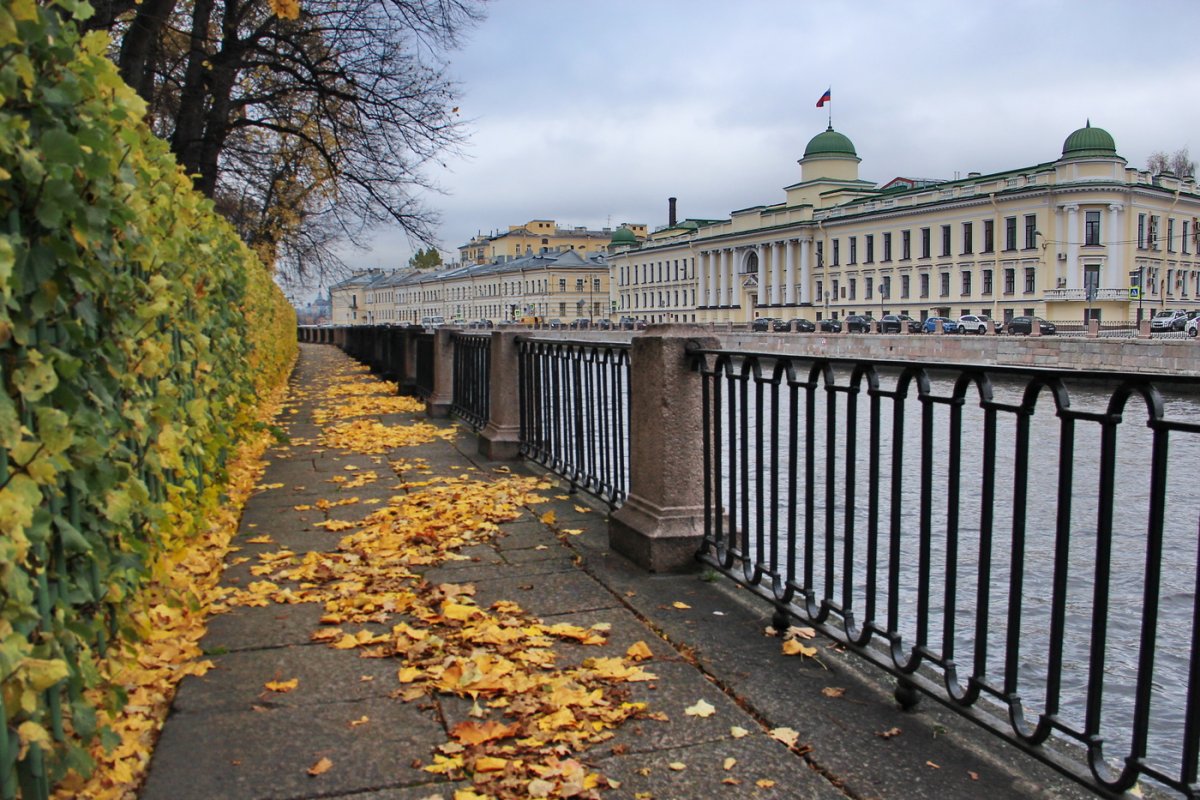 Санкт-Петербург Исаакиевский поздняя осень
