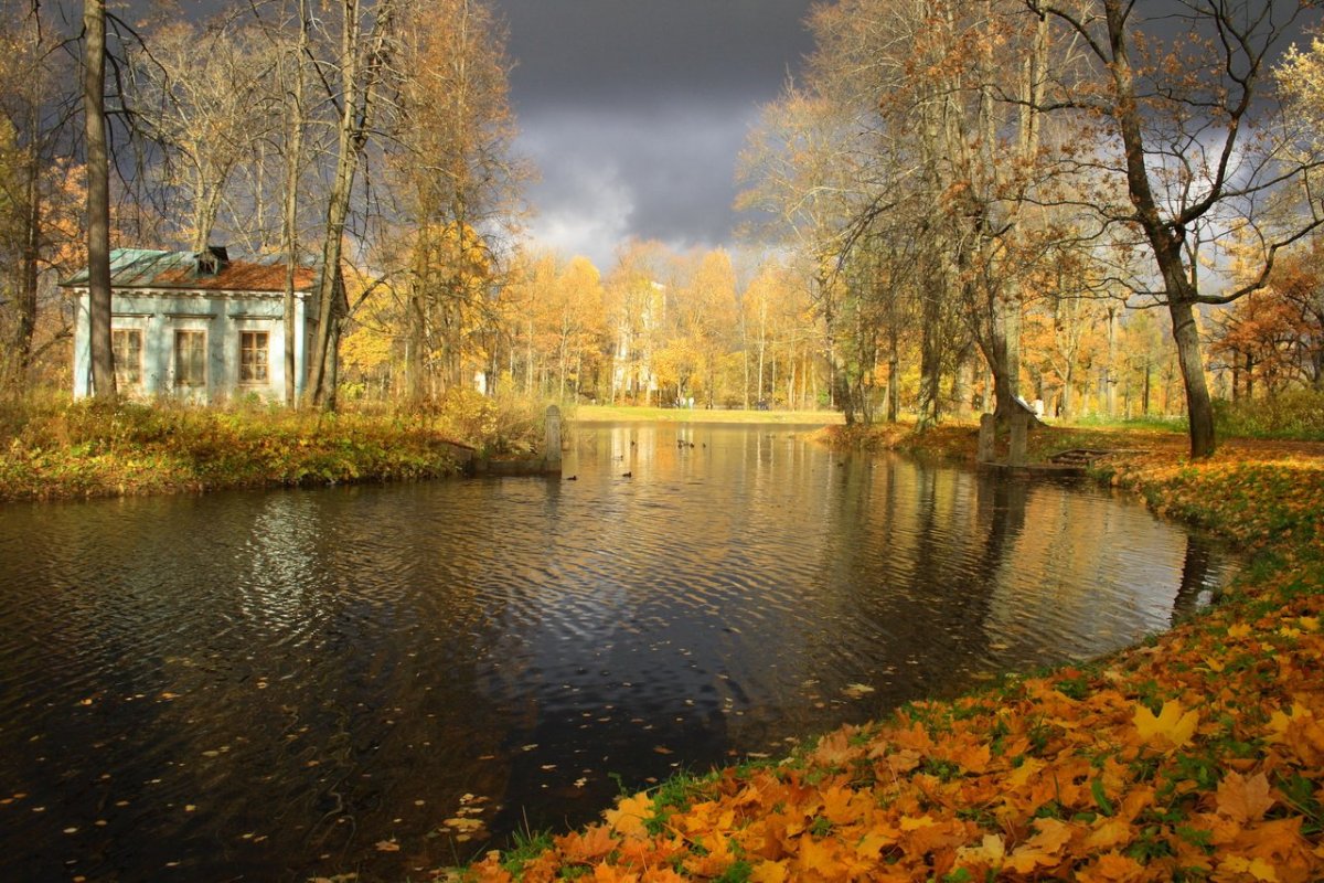 Царское село парк осенью