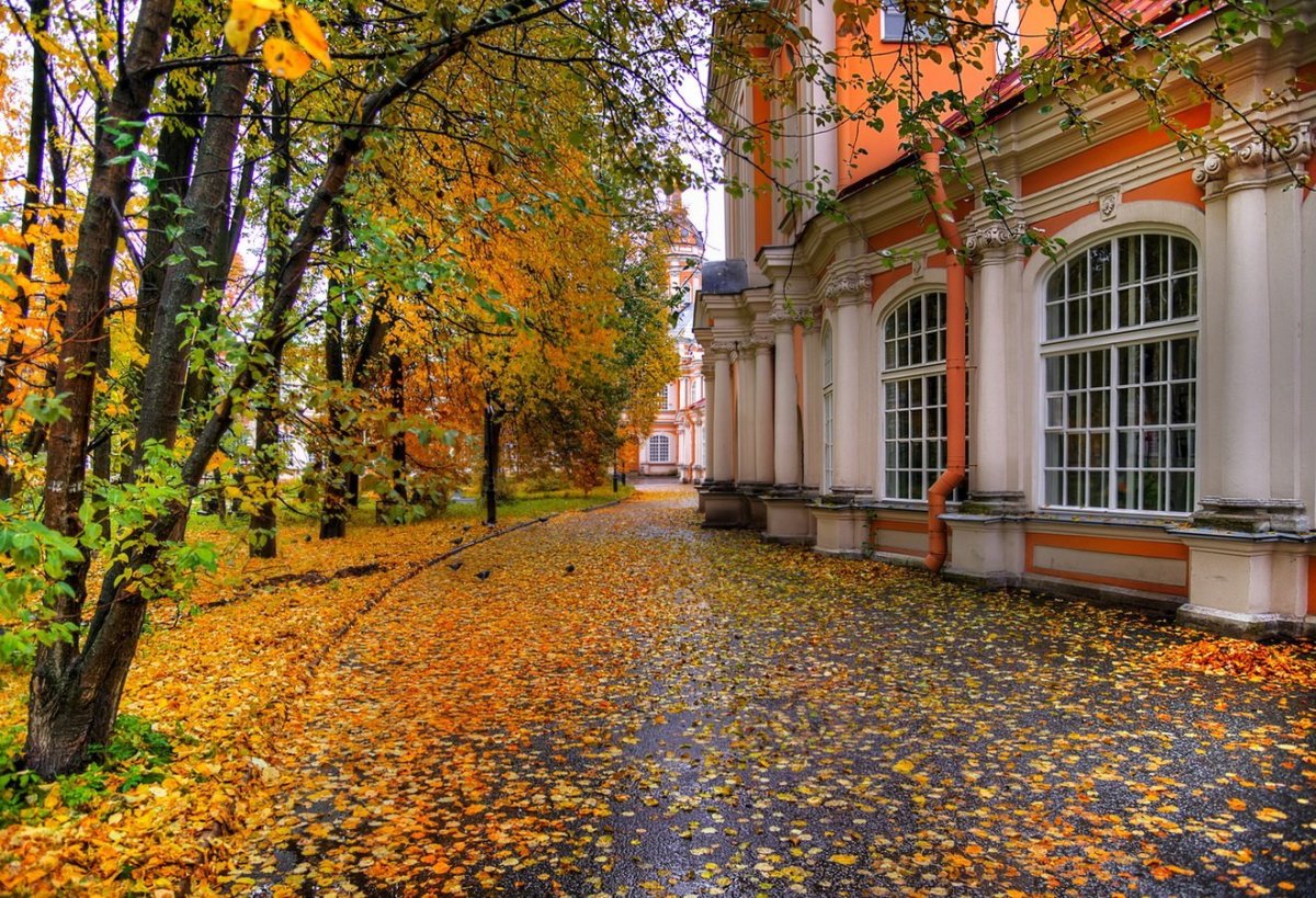 Осень парк Александро Невская Лавра