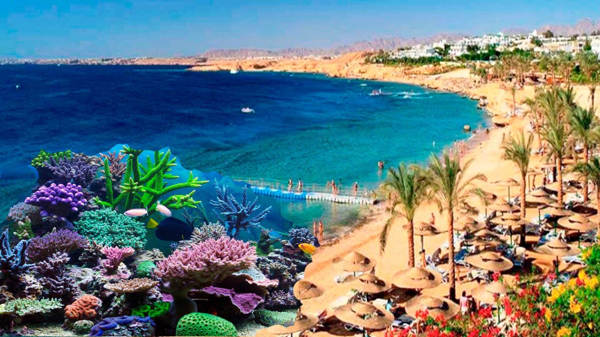 Шармаль Шейх достопримечательности