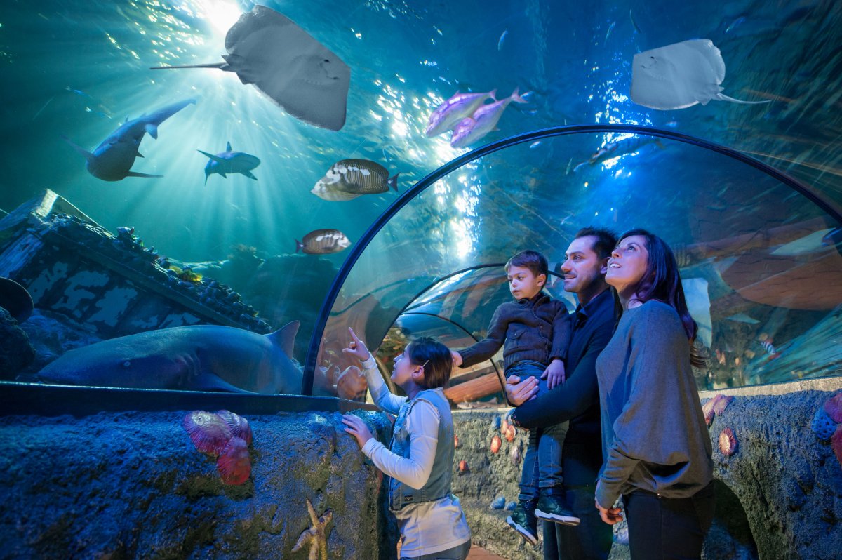 Гардаленд океанариум Sealife