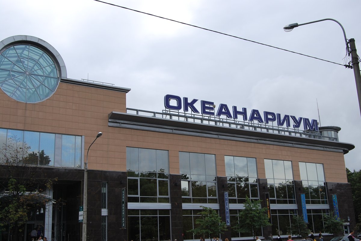 Океанариум СПБ логотип