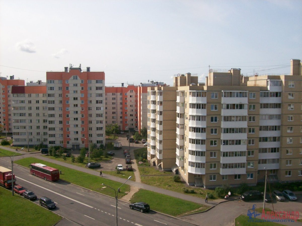 Красное село санкт петербург фото города