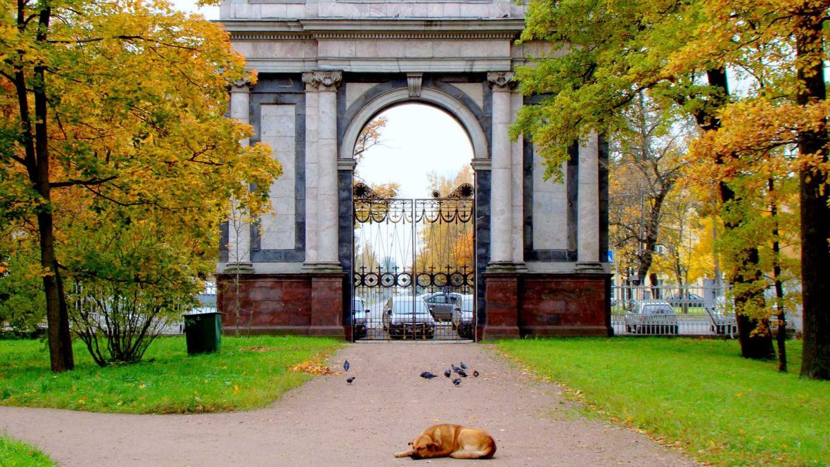 Орловские ворота в екатерининском парке царского села