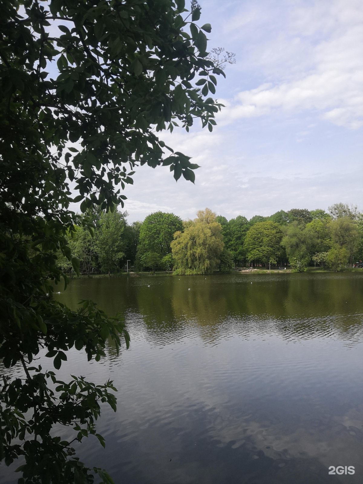 Ландшафтный парк калининград фото