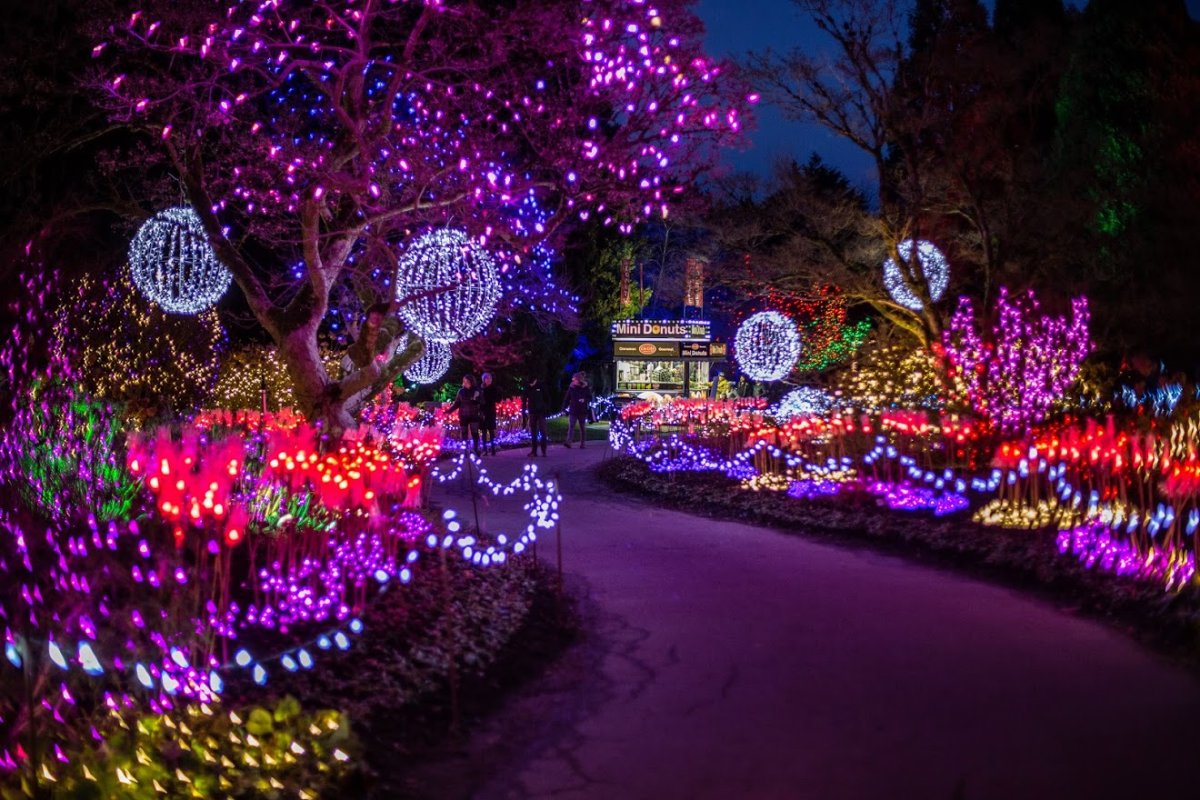 Vancouver Xmas Lights