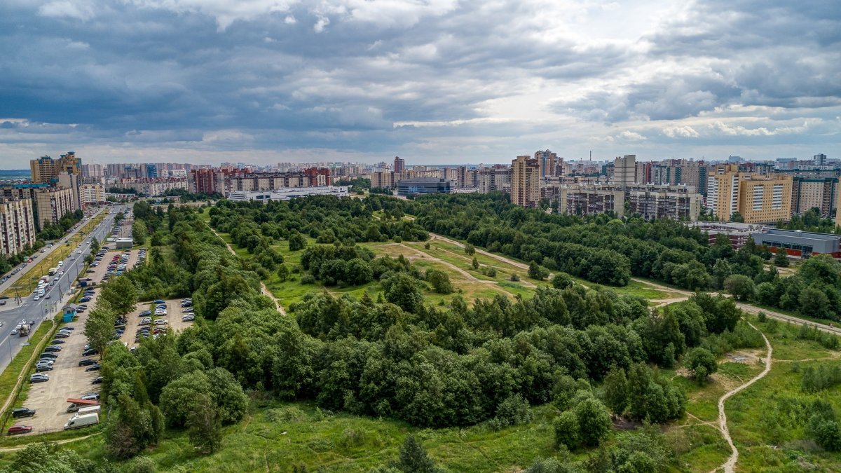 Яблоновский сад Оккервиль