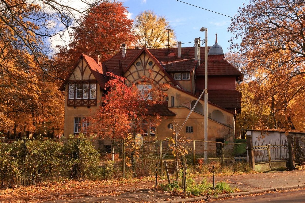 Амалиенау Калининград осень