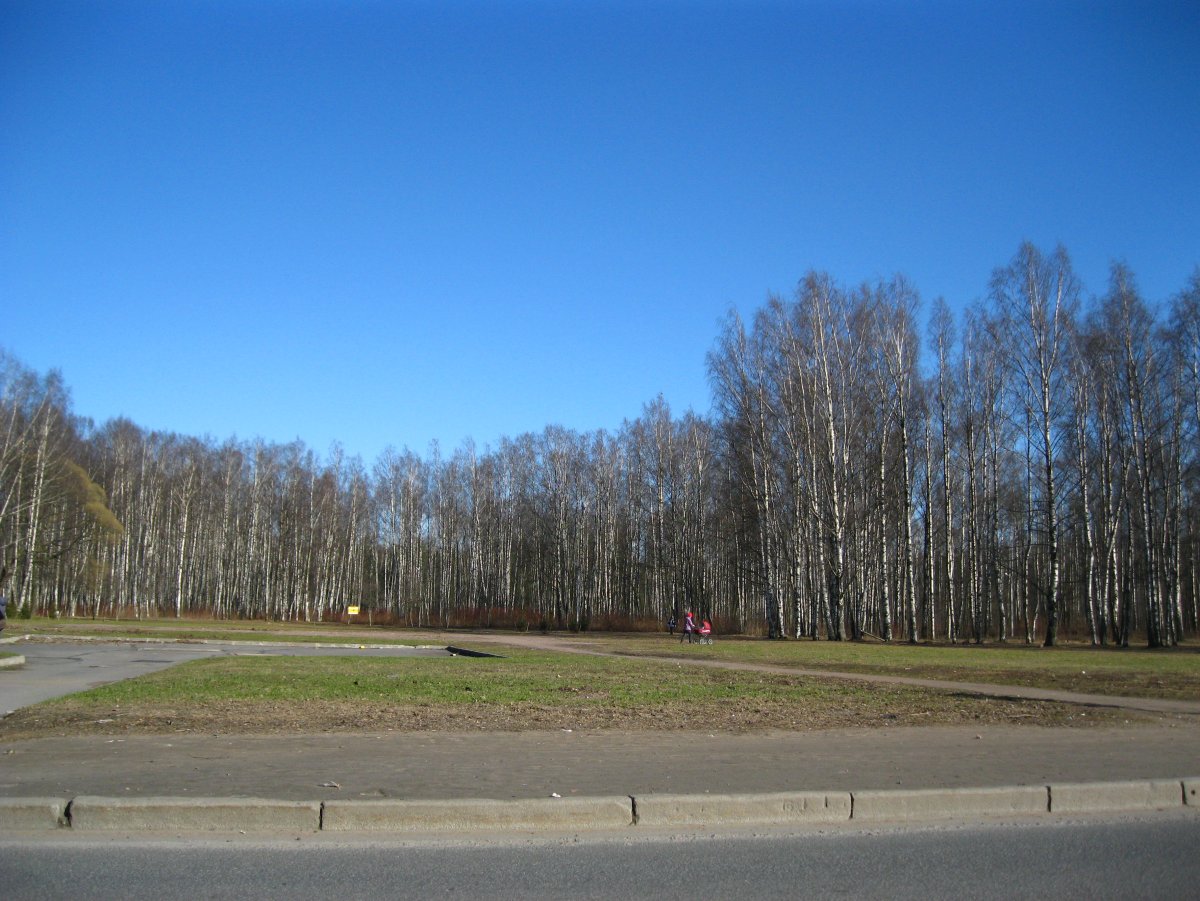 Пискаревский парк в санкт петербурге фото