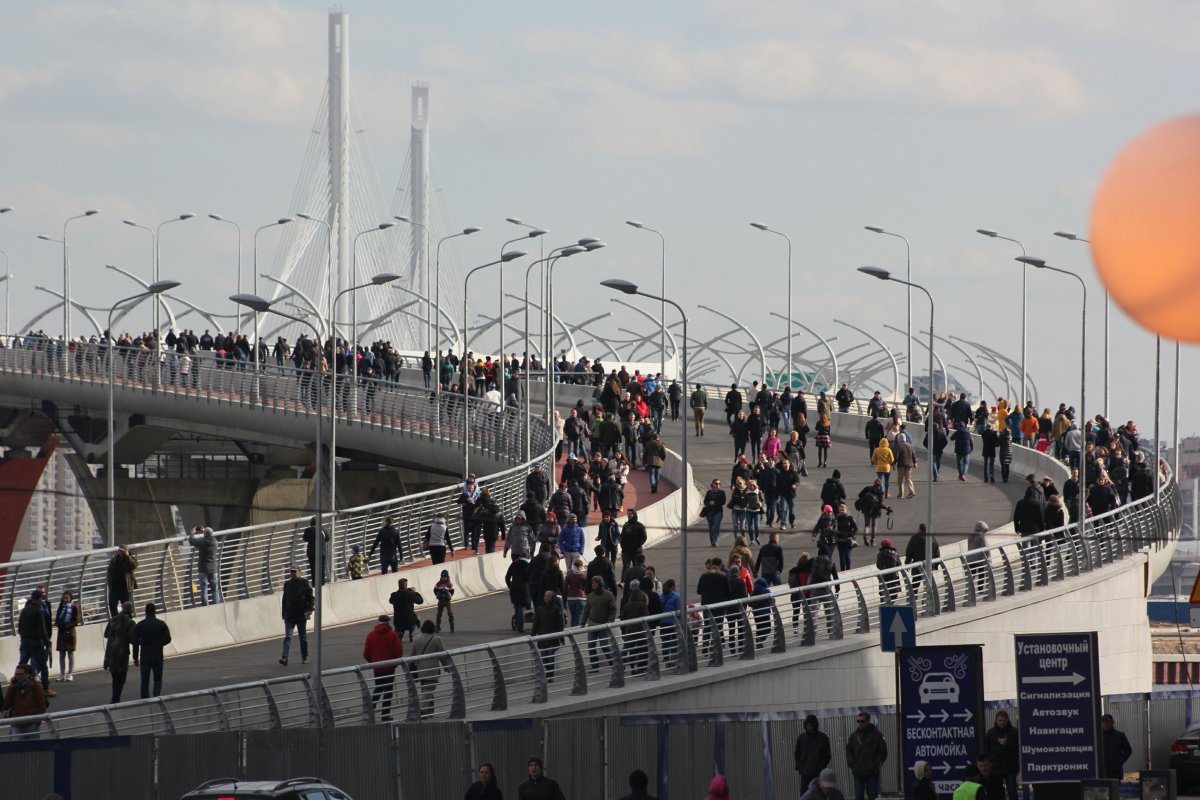 Парк 300-летия Санкт-Петербурга мост пешеходный