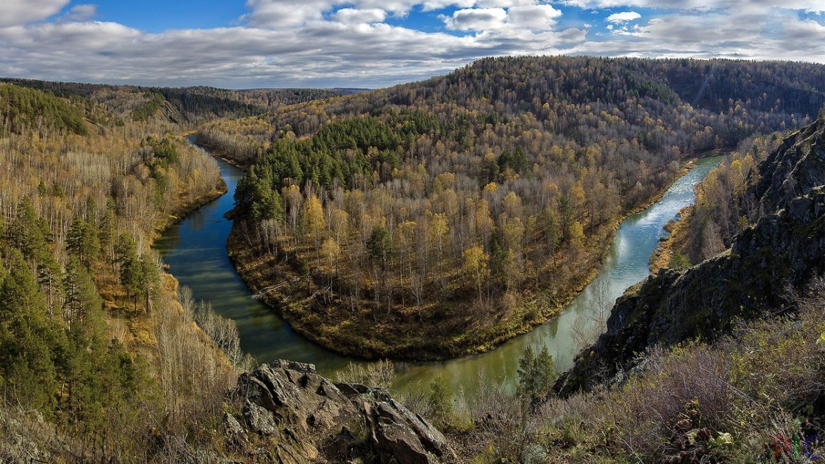 Зверобой Бердские скалы