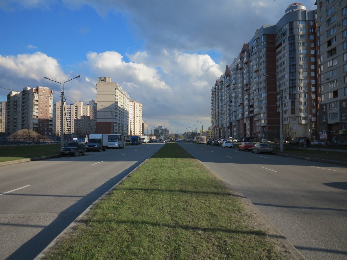 Шуваловский проспект