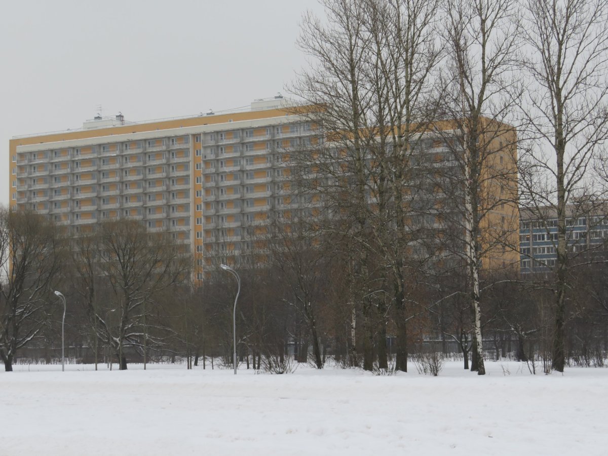 Новоизмайловский проспект студенческий городок