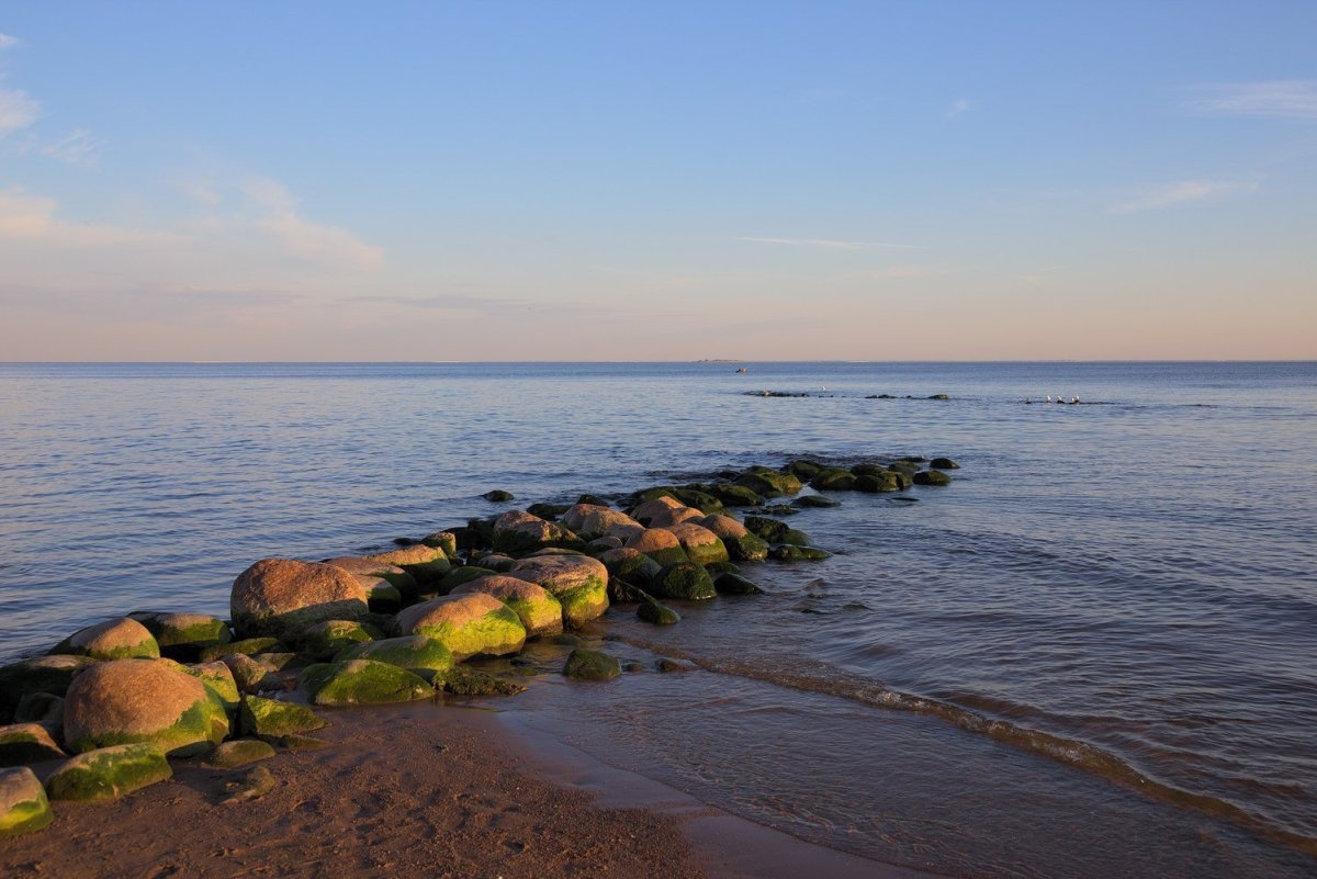 Берег Балтийского моря финский залив