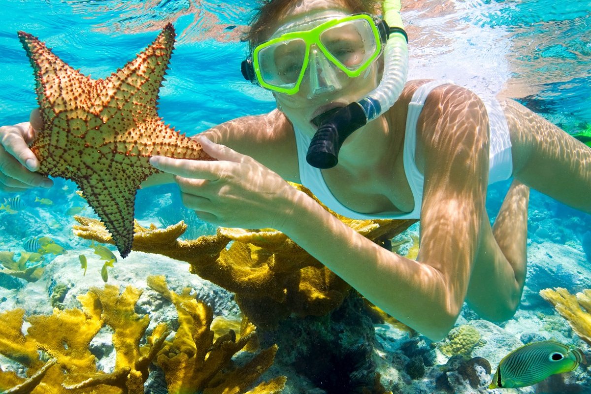 Красное море дайвинг снорклинг