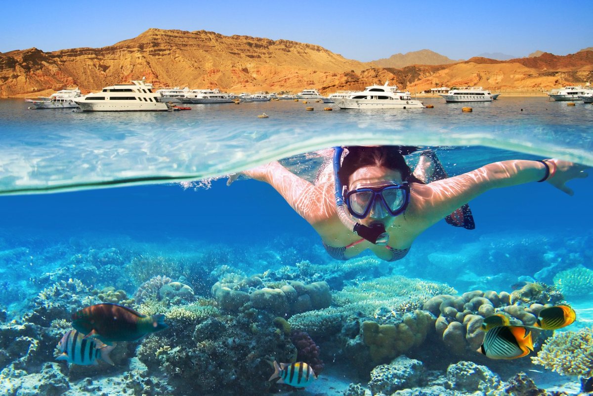 Египет снорклинг красное море