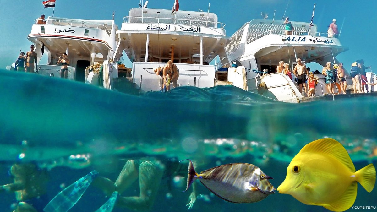 Красное море Хургада