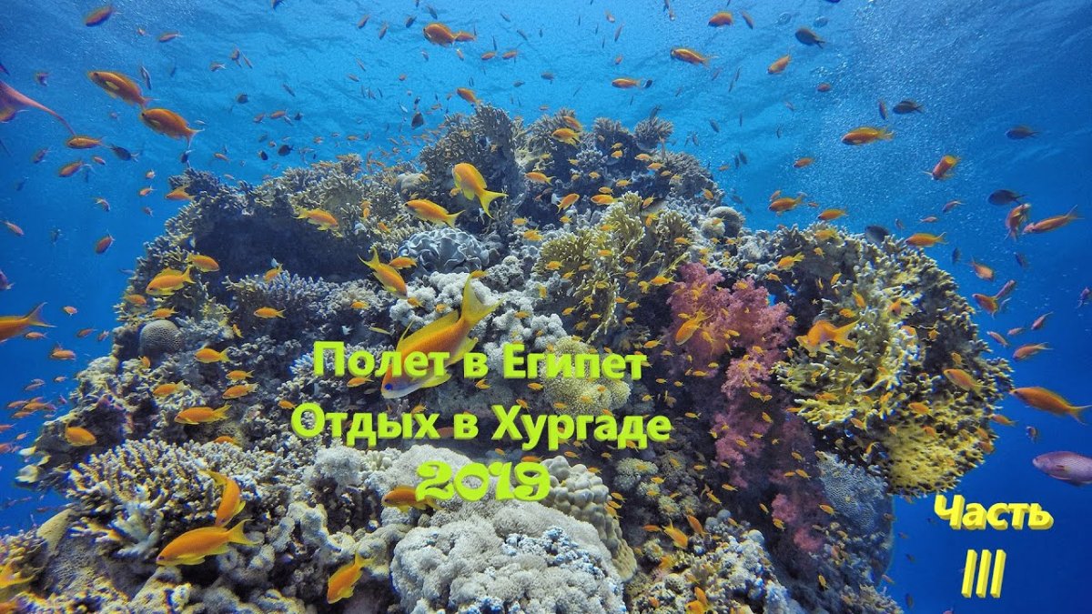 Красное море Египет Хургада