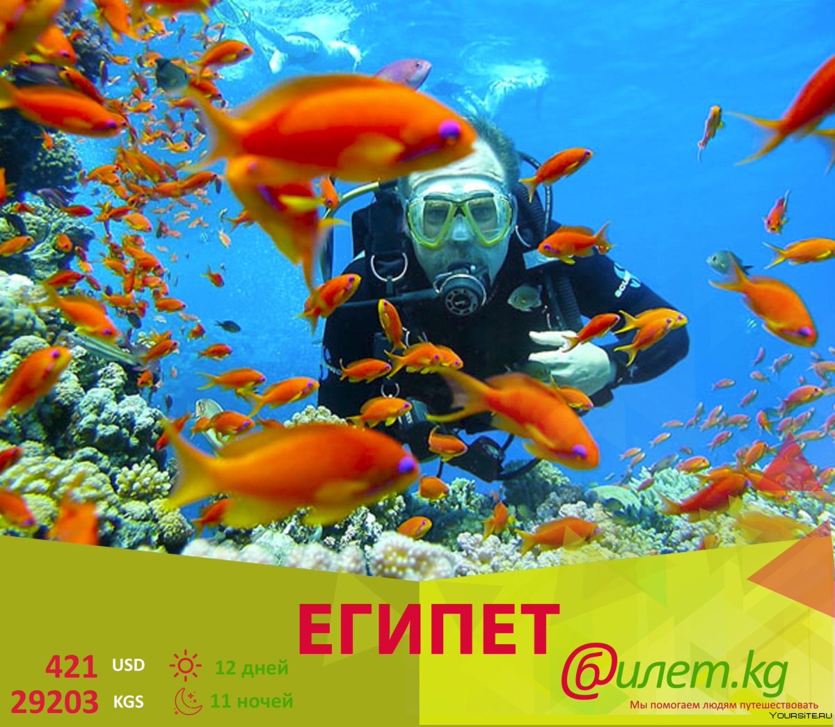 Красное море аквалангист