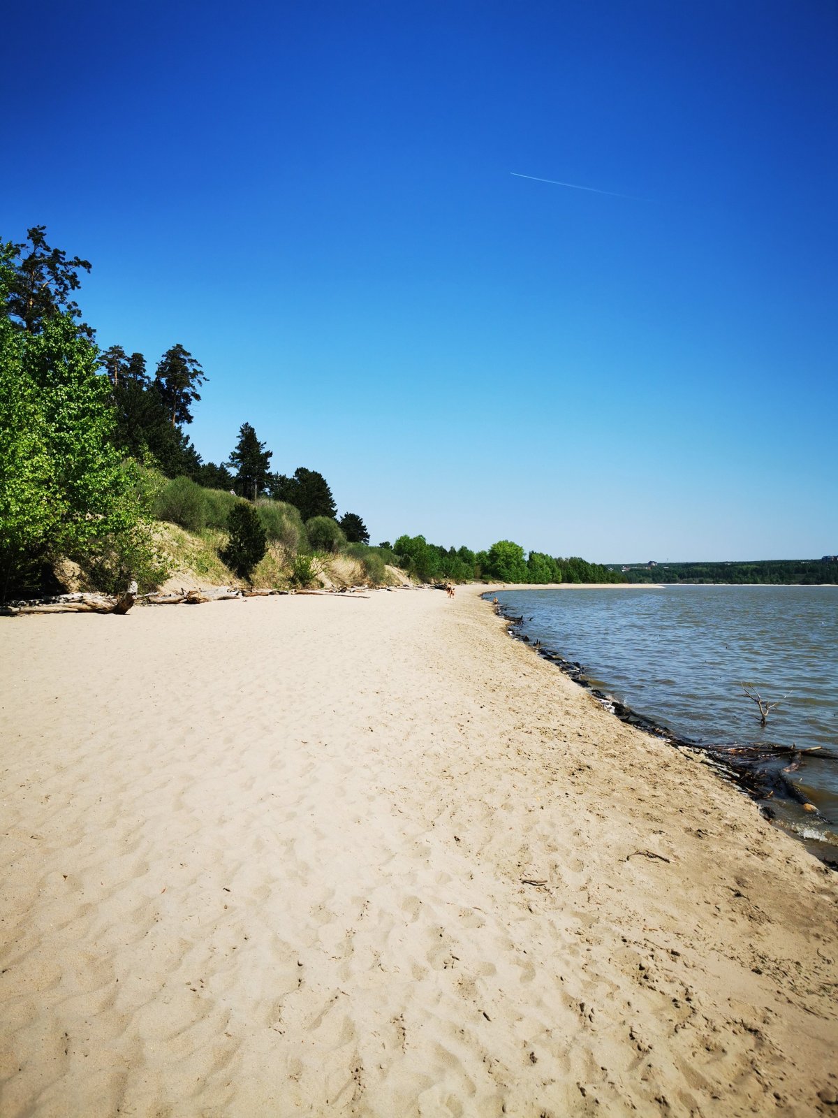 Бердская коса Новосибирск пляж