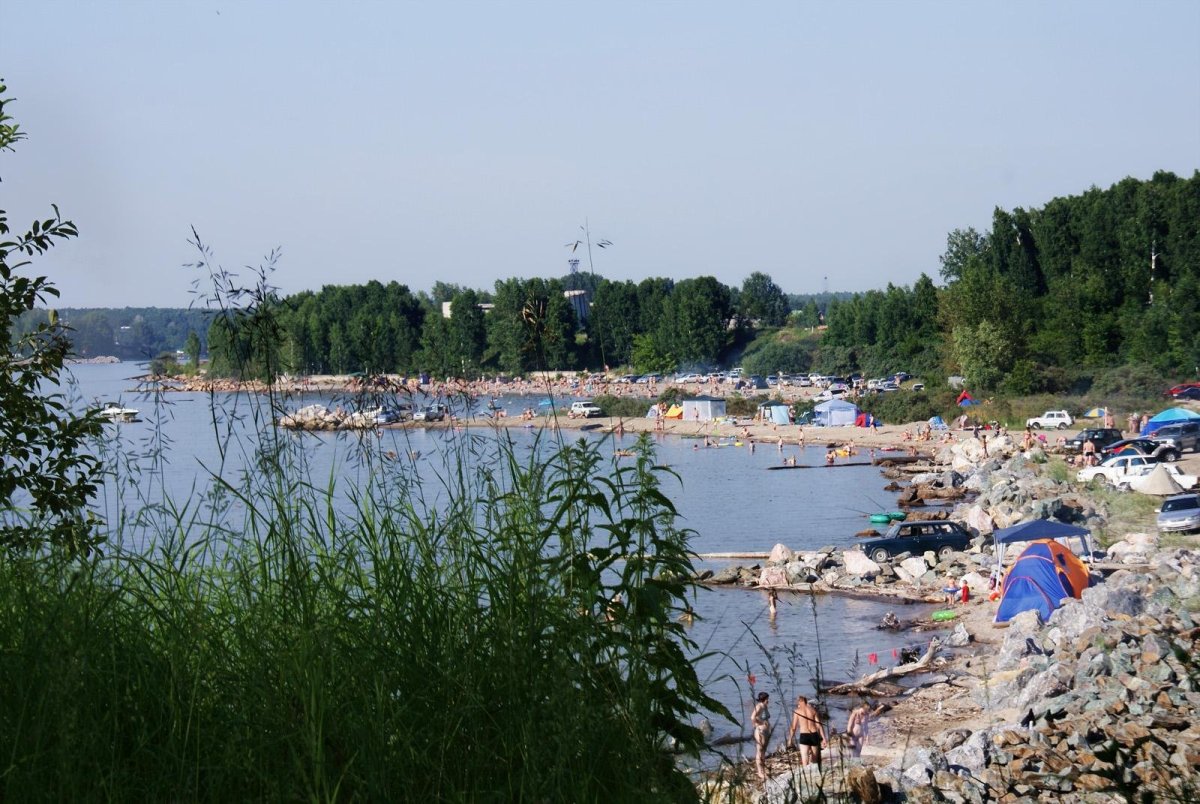Климат Бердска