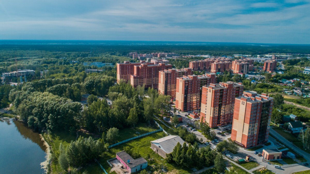 Стрижи Новосибирск