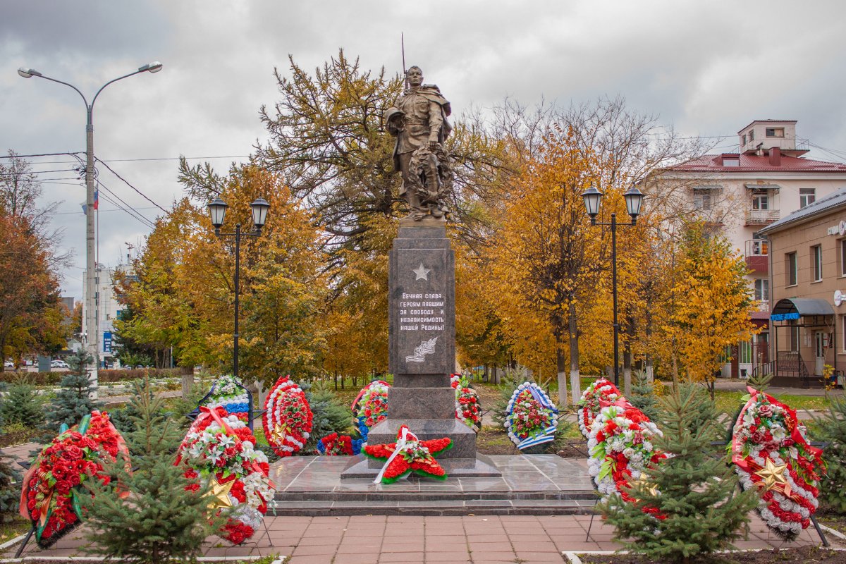 Памятник воину освободителю Солнечногорск