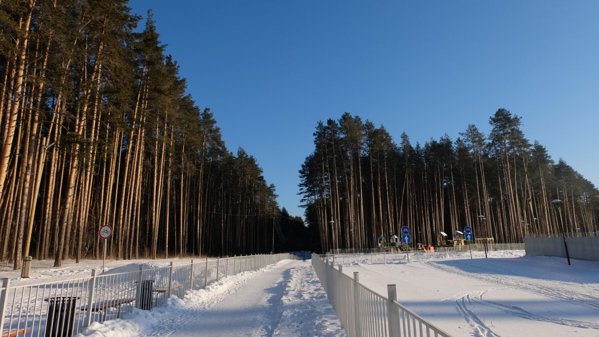 Березовский лес Воткинск