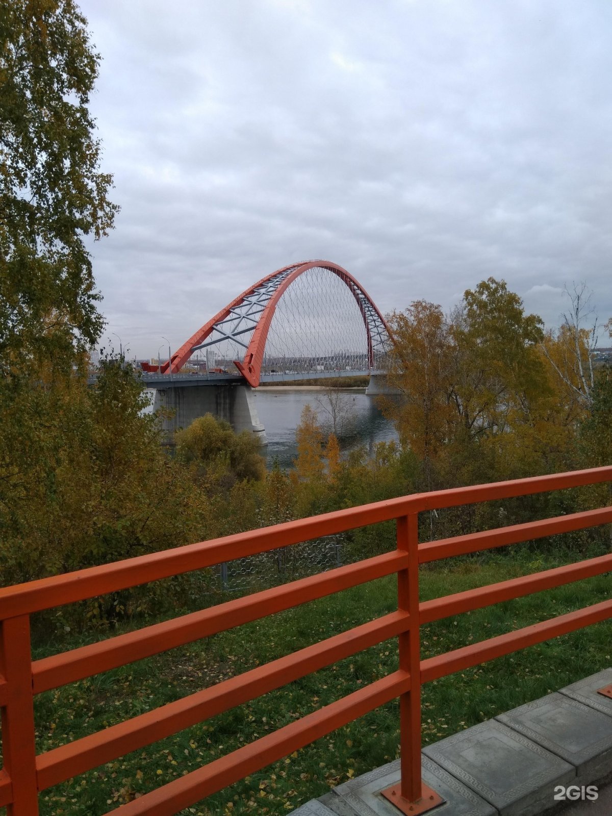 Бугринская роща Новосибирск. ,Euhbycrfz HJOF yjdjcb,. Бугринский парк Новосибирск. ПКИО Бугринская роща.